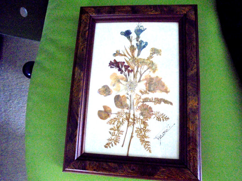 Trockenblumen bild mit - mit, rahmen