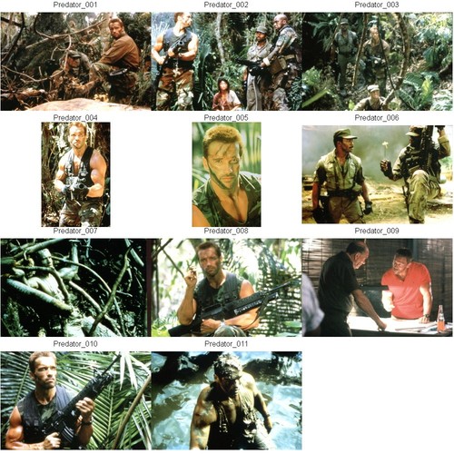 Predator fotoset mit 11 - 1,